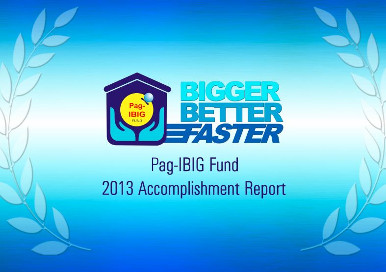 2013 Accomplishment Report